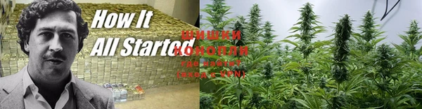 Альфа ПВП Каменногорск