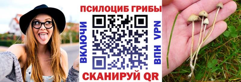 Галлюциногенные грибы MAGIC MUSHROOMS  Купить где  Дрезна 
